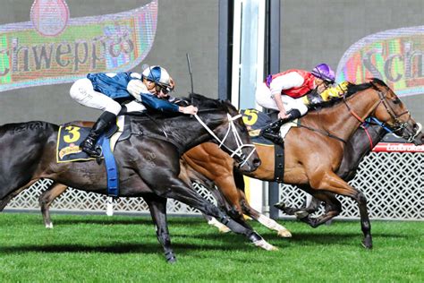 jra cup odds|JRA Cup 2024 Field, Tips, Betting Odds, Results .